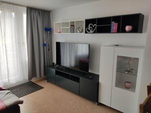TV a/nebo společenská místnost v ubytování Ferienapartment "Alois" in Sankt Englmar