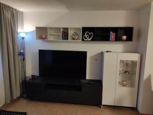 TV a/nebo společenská místnost v ubytování Ferienapartment "Alois" in Sankt Englmar
