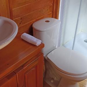 a bathroom with a toilet and a sink at Domos Lago Muisca Chia in Aquitania