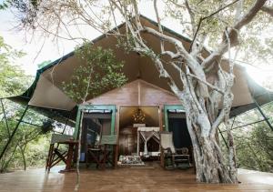 a tent with a tree in front of it at Tribe Yala - Luxury Camping in Yala