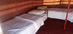 Katil atau katil-katil dalam bilik di Bedouin nights Camp