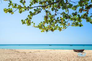 Příroda nedaleko rezortu