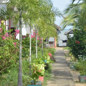 a pathway lined with palm trees and flowers at Feel the Waves in Arugam Bay