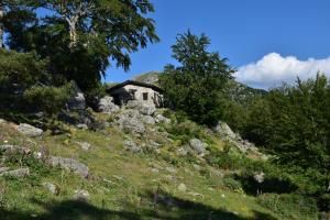 an old house on the side of a mountain at Villa Cosy avec piscine privative in Ghisonaccia