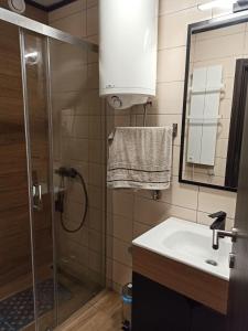 ein Bad mit einer Dusche und einem Waschbecken in der Unterkunft Lela Kop in Kopaonik