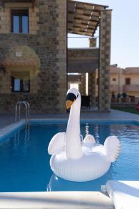 un cisne blanco flotando en una piscina en Faraggi Villas, en Zonianá
