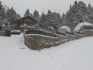 Mountain tea v zimě