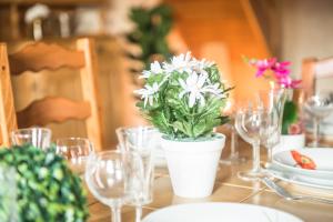 a table with glasses and a potted plant on it at Nouveau - La Parenthèse in Wingersheim