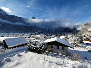 a village covered in snow with mountains in the background at Haus Salzkammergut in Obertraun