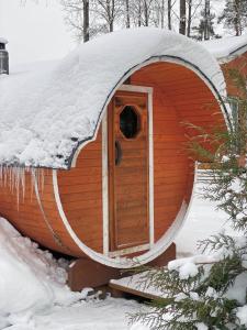une maison igloo avec de la neige au-dessus dans l'établissement Cottages Sosnovo Life, à Snegirëvka