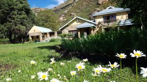 uma casa com um campo de flores em frente em His Vessel Guesthouse Clarens FS em Clarens