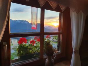 Widok na góry z tego obiektu B&B