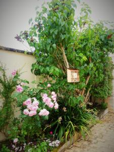 Afbeelding uit fotogalerij van Pony Sweet Home in Caen