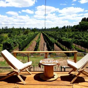 a patio with two chairs and a table and a vineyard at Al Aire Libre in San Rafael