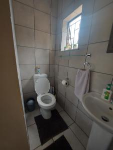 małą łazienkę z toaletą i umywalką w obiekcie DeLutz Overnight Accommodation Room 2 w mieście Polokwane