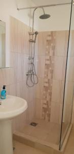 a bathroom with a shower and a sink at PENSIUNEA LA CUCI in Techirghiol