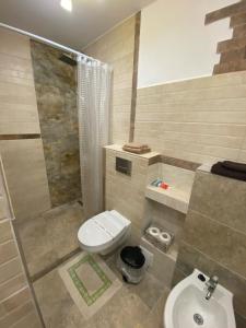 a bathroom with a toilet and a shower and a sink at Casa Felice in Braşov