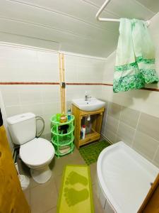 亞列姆切的住宿－садиба "У Чубчика"，一间带卫生间和水槽的浴室