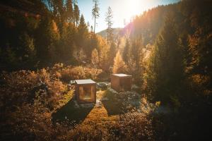 una vista aérea de un bosque con árboles en Škandinávske domčeky-lesná sauna a ubytovanie, en Spišské Bystré