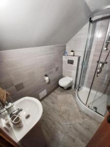uma casa de banho com um lavatório, um chuveiro e um WC. em Agroturystyka u Joli em Polanica-Zdrój