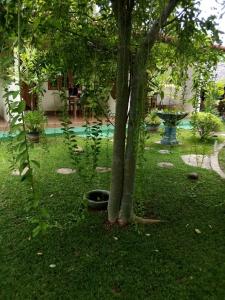 een boom in het midden van een tuin met een zwembad bij Udesh Guest in Polonnaruwa