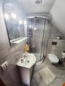 uma casa de banho com um chuveiro, um lavatório e um WC. em Agroturystyka u Joli em Polanica-Zdrój