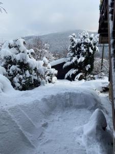 亞列姆切的住宿－садиба "У Чубчика"，雪覆盖的院子,有覆盖着雪的树木