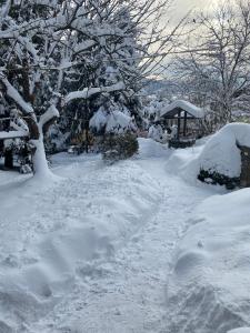 einen schneebedeckten Weg mit Bäumen und einem Pavillon in der Unterkunft садиба "У Чубчика" in Jaremtsche