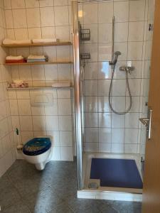 ein Badezimmer mit einer Dusche, einem WC und einer Badewanne in der Unterkunft Sonnigesüdeifel in Seffern