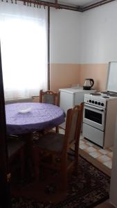 Kuhinja ili čajna kuhinja u objektu Apartman Tamara