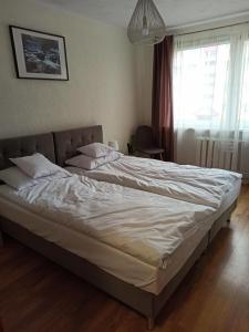 duże łóżko w sypialni z oknem w obiekcie Apartamenty Jola w Szklarskiej Porębie
