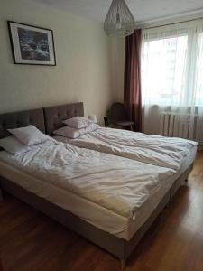 Posteľ alebo postele v izbe v ubytovaní Apartamenty Jola