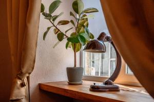 a plant sitting on a table next to a window at Уютная квартира недалеко от Дерибасовской in Odesa