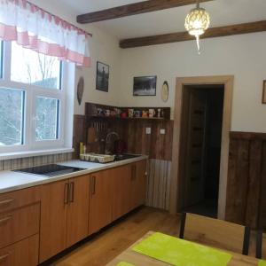 eine Küche mit Holzschränken, einem Waschbecken und einem Fenster in der Unterkunft Chata Liptak in Ždiar