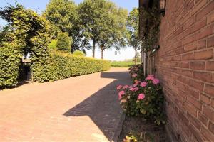 Afbeelding uit fotogalerij van 't Hoefijzer in Sint-Oedenrode