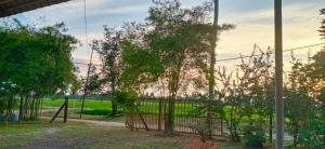 Blick auf einen Park mit einem Zaun und Bäumen in der Unterkunft Homestay Zulaika Kota Aur in Kepala Batas