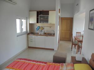 Η κουζίνα ή μικρή κουζίνα στο Studio apartment in Premantura with sea view, air conditioning, WiFi, washing machine 3352-30