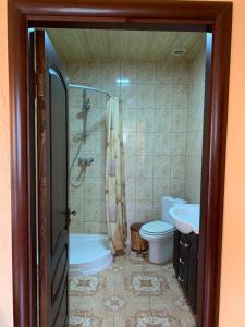 uma casa de banho com um chuveiro, um WC e um lavatório. em Садыба над Рикою em Berezovo