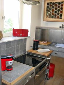 una cocina con fogones y una olla roja en la encimera en Gite Mosan, en Houyet