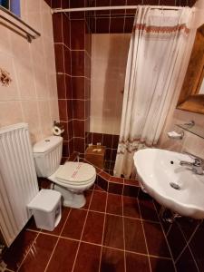 une salle de bains avec toilettes et lavabo dans l'établissement CHALET ELATI, à Vitina