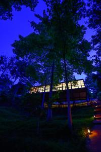 a cabin in the middle of the trees at night at The River Bank, Jinja in Jinja