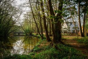 a view of a river with trees and a building at Ava Apartamenty in Niechorze