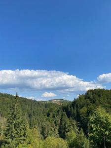 a view of a forest of trees on a hill at Apartmani Jarevac in Bajina Bašta