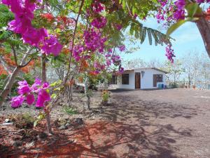 uma casa com flores roxas em frente a uma árvore em Casa Verde Vacation Garden Home em San Cristóbal