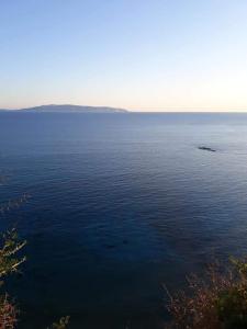 スパルティアにあるKefallonia Bay Resortの大水の景色