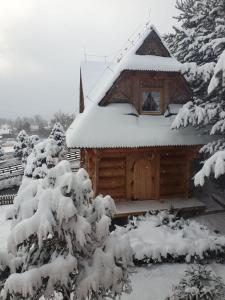 a cabin covered in snow in front of trees at Domki Szwajnosówka in Witów