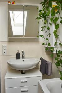 a bathroom with a sink and a mirror and a plant at Green-Art-Living für 3 im Allgäu mit Queensize & WIFI in Lauben
