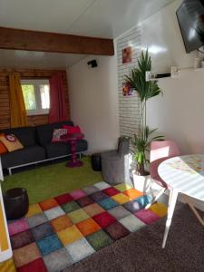 a living room with a couch and a colorful rug at Bungalow la Bohémienne in Oissel