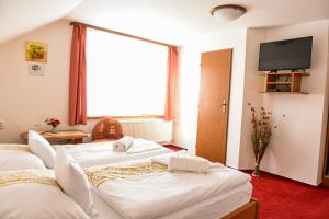 a hotel room with two beds and a television at Villa Felicity in Nová Lesná