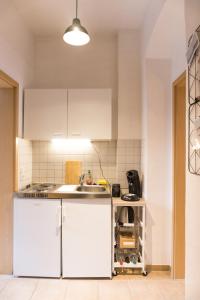 Kuchyň nebo kuchyňský kout v ubytování gemütliche Wohnung mit perfekter Anbindung